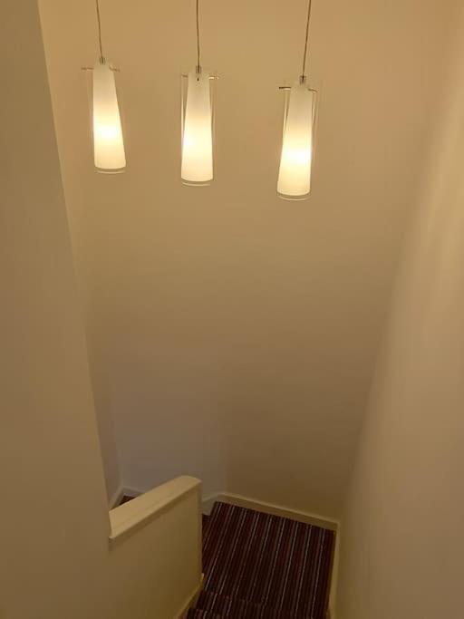 Апартаменты Spacious 3 Bed Flat Opp Springfield Park, Hackney. Лондон