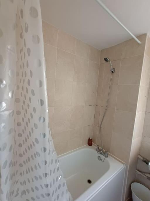 Апартаменты Spacious 3 Bed Flat Opp Springfield Park, Hackney.