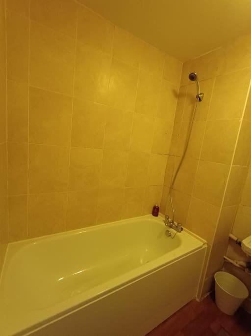 Апартаменты Spacious 3 Bed Flat Opp Springfield Park, Hackney. Лондон